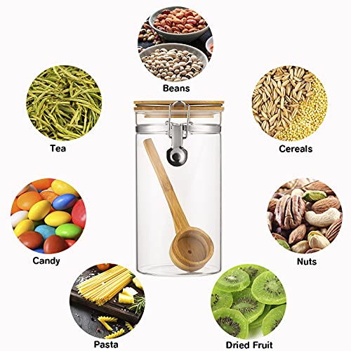 Coffee Container with Shelf (6 Count)