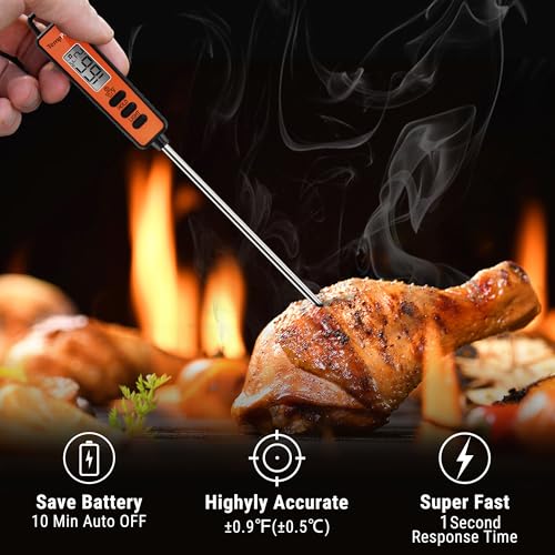 TP01A (2 Pack) Digital Meat Thermometer for Cooking Liquid Deep Frying Oil Candy, Kitchen Food Instant Read Thermometer with Super Long Probe, Backlit, Lock Function (Previously ThermoPro) (2 Count)