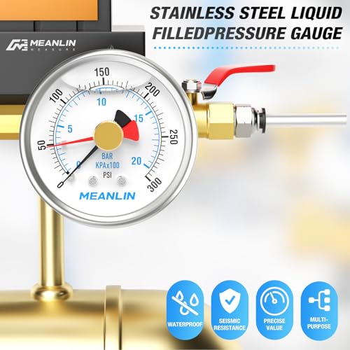 0~300Psi Stainless Steel 1