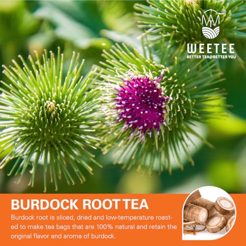 Burdock Root Tea Bags 100 Count