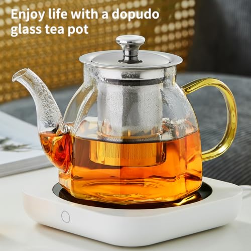 Glass Tea Pot with Stainless Steel Infuser and Lid