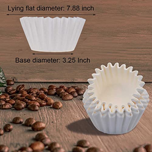 Coffee Filters 8 (100 Count)