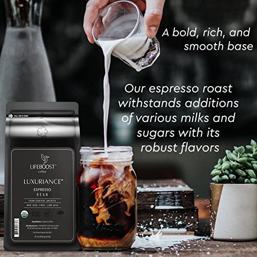 Organic Espresso Whole Bean Coffee (12 Ounce)