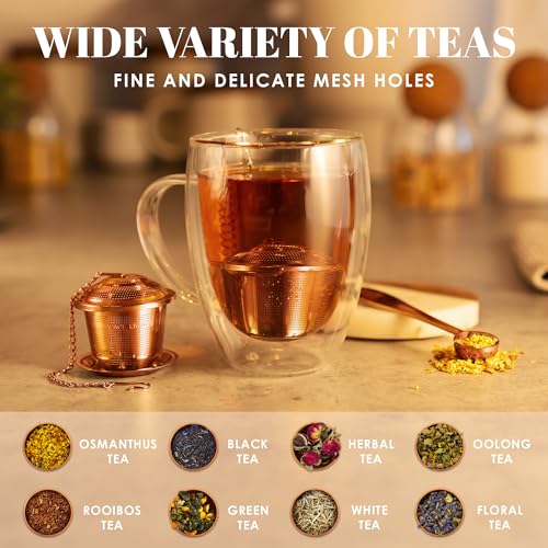 Tea Infuser Set of 2 with Tea Scoop & Drip Trays