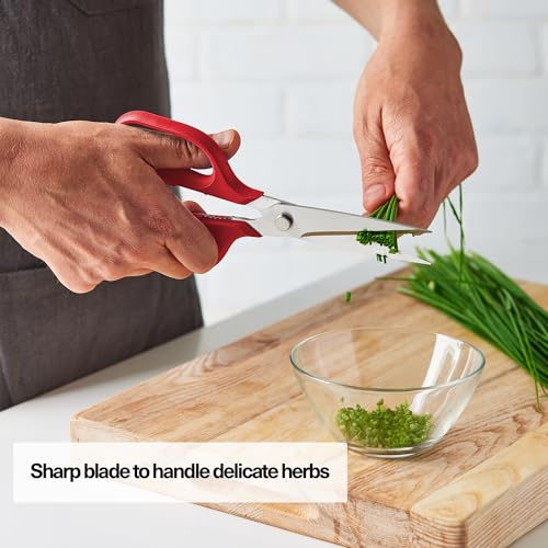 Heavy Duty Kitchen Shears