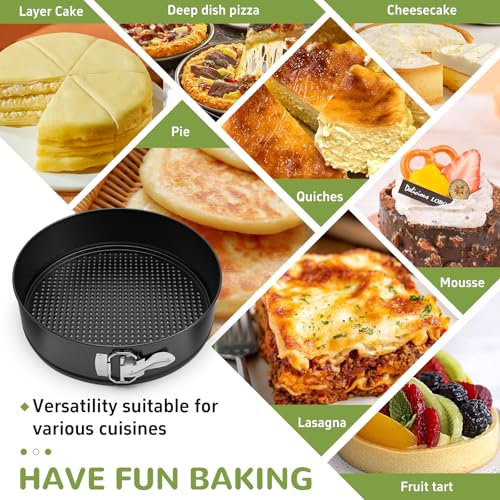 10 Inch Springform Pan with Removable Bottom