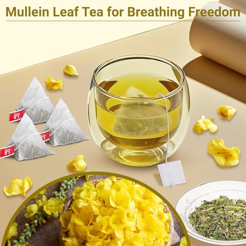 Mullein Tea Bags for Lungs (100 Count)