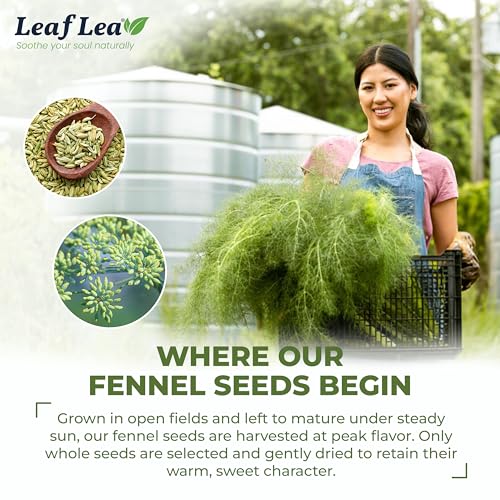 Fennel Seed Tea Bags (80 Count)