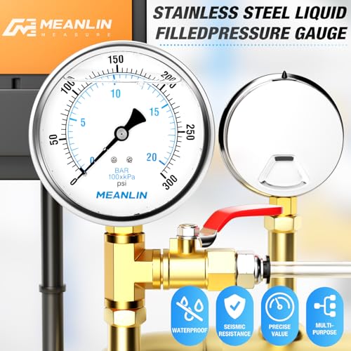 0~300Psi Stainless Steel 1