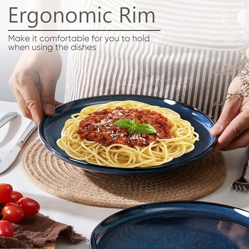 4 Piece Stoneware Dinner Plates Set