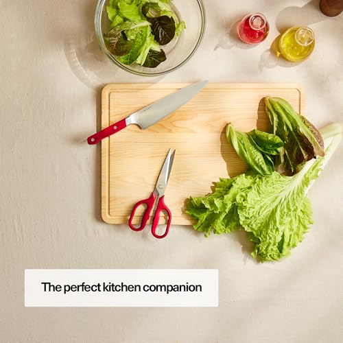 Heavy Duty Kitchen Shears