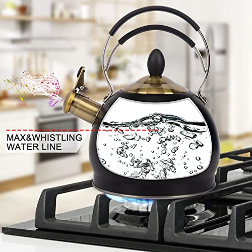 Whistling Tea Kettle Stainless Steel Teapot