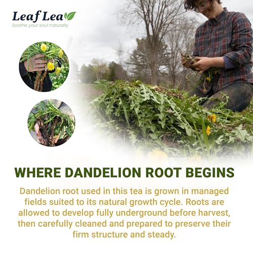 80 Dandelion Tea Bags (80 Count)