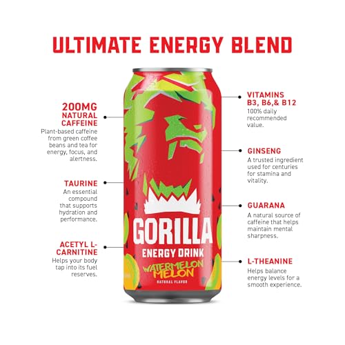 Drink Watermelon Melon (12 Count)