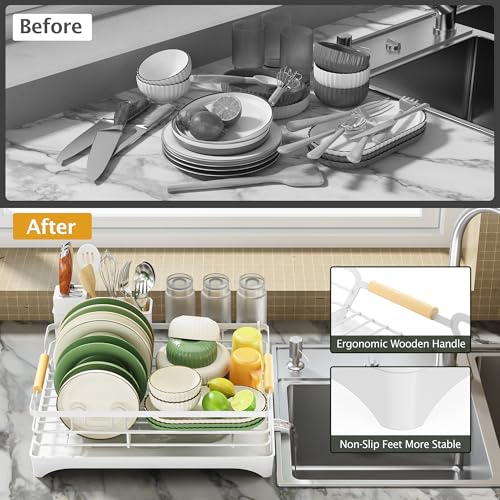 Dish Drying Rack for Kitchen Counter