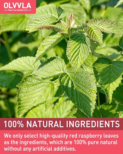 Raspberry Leaf Tea Bags (50 Count)