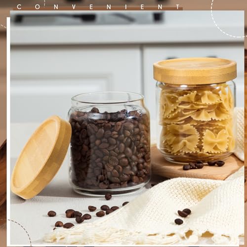 16 Pack Glass Containers Canister Set