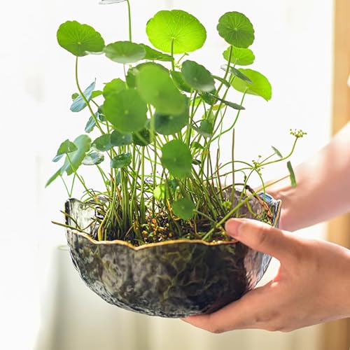 Bowl Resin Storage Box Silicone Mold Unique Container Jewelry Holder Candle Vessel Epoxy Resin Concrete Cement DIY Art Craft Trinket Jar Dish Plant Pot Table Home Decor