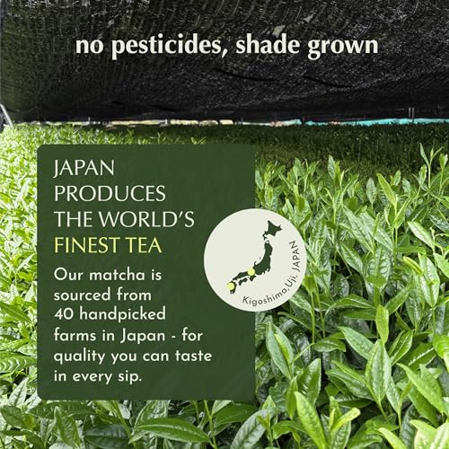 Matcha Latte Powder (5.3 Ounce)