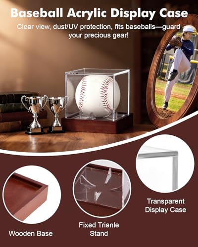 Acrylic Baseball Memorabilia Display Case UV Shield Wood Base