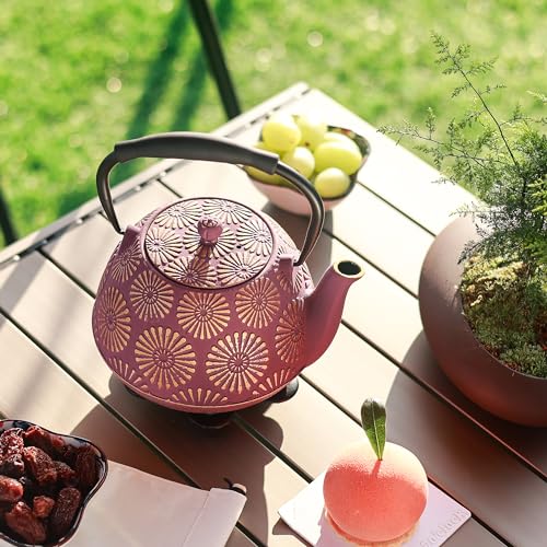 Cast Iron Teapot
