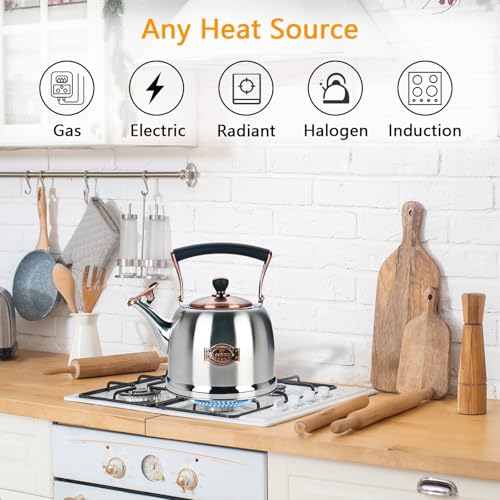 Tea Kettle Stainless Steel Teapot
