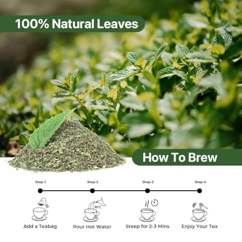 Spearmint Tea (10 Count)