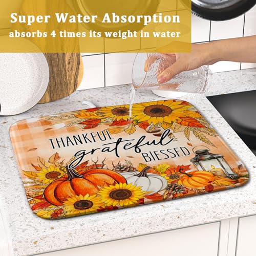 Autumn Pumpkins Dish Drying Mat for Kitchen Countertop