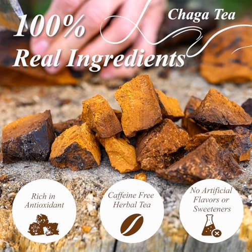 Chaga Tea Bags 100 Count