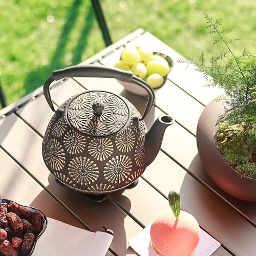 Cast Iron Teapot