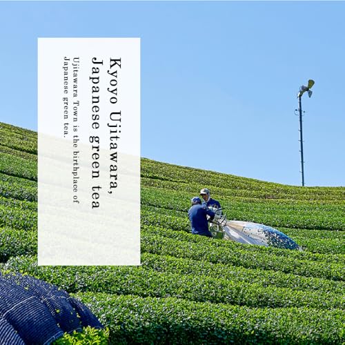 Organic Sencha (3.5 Ounce)