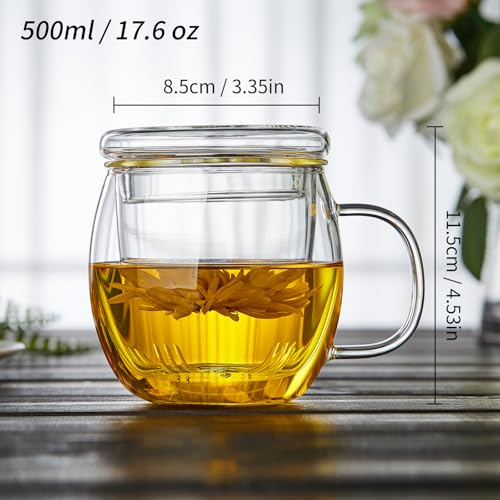Glass Tea Cup with Infuser and Lid