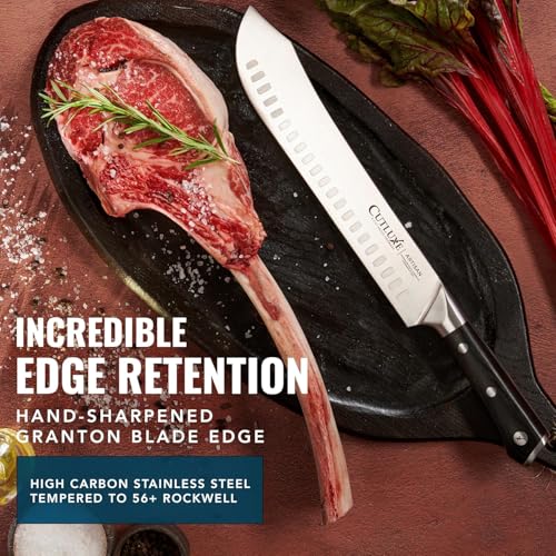 Butcher Knife 10" Bullnose Carving Knife for Meat