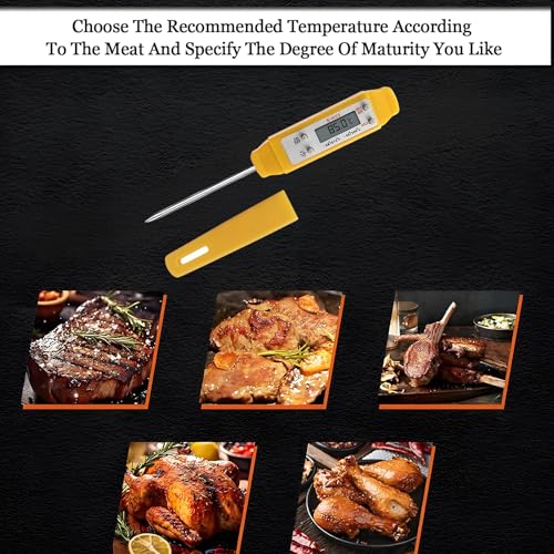 Meat Thermometer