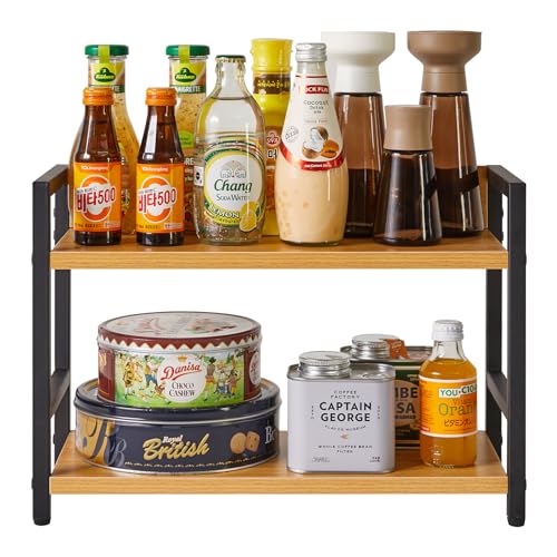 2 Tier Spice Rack