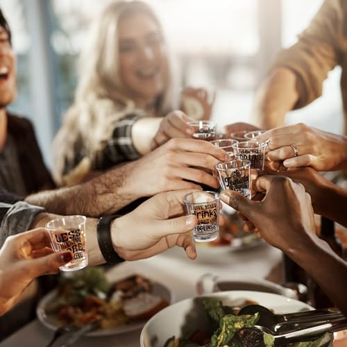 24 Pieces Funny Friends Shot Glasses Funny Friends Shot Glasses Clear Shot Glass Cups with Heavy Base for Adult Small Glass Shot Cups 1.75 oz Shot Glass for Best Friends (24 Count)