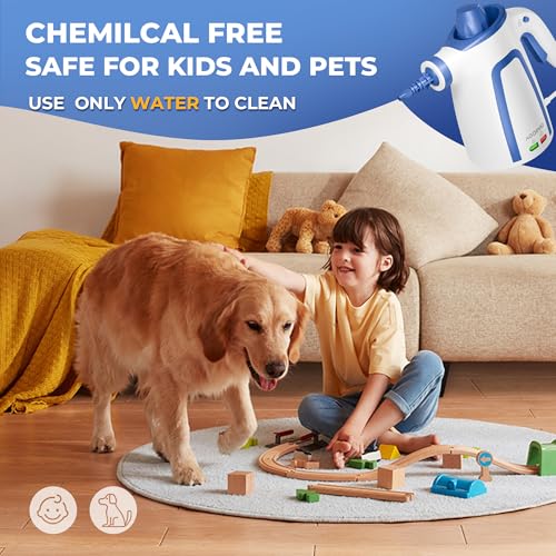 Steam Cleaner