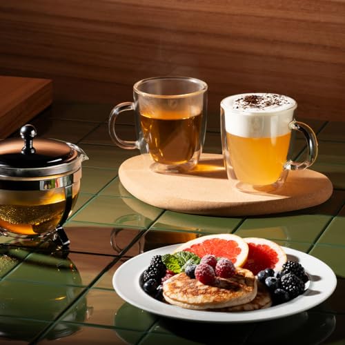 10oz Bistro Double Wall Insulated Mug (10 Ounce)