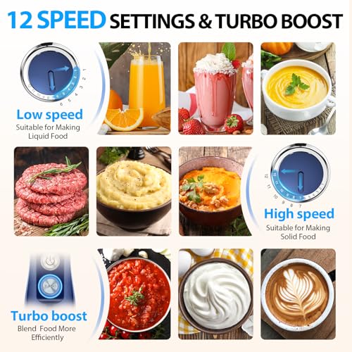 Immersion Blender