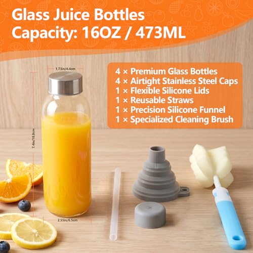16 oz Clear Glass Water Bottles with Stainless Steel Lid