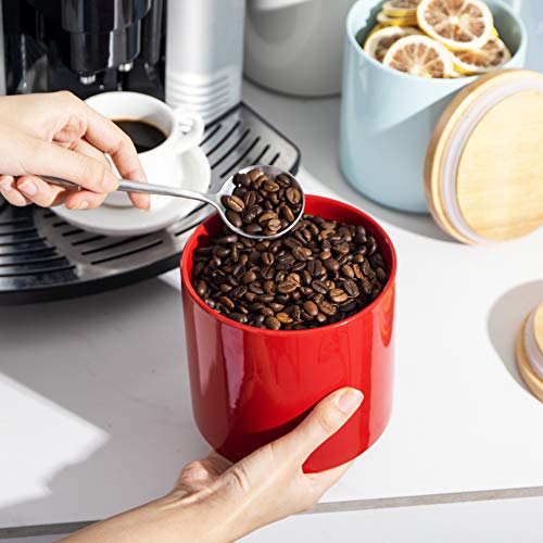 Sweejar Kitchen Canisters Ceramic Food Storage Jar