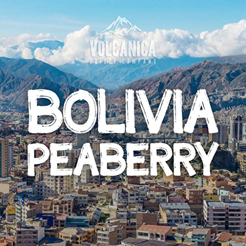 Bolivia Peaberry Coffee (16 Ounce)