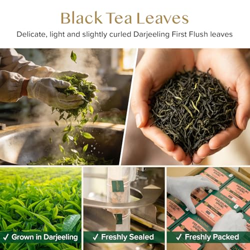 Darjeeling Spring Tea Bags (100 Count)