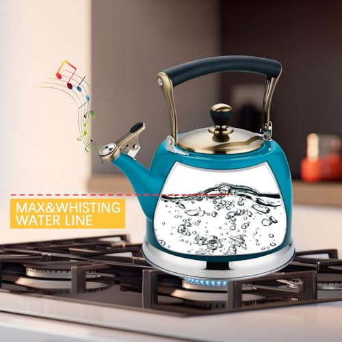 Tea Kettle Stainless Steel Teapot