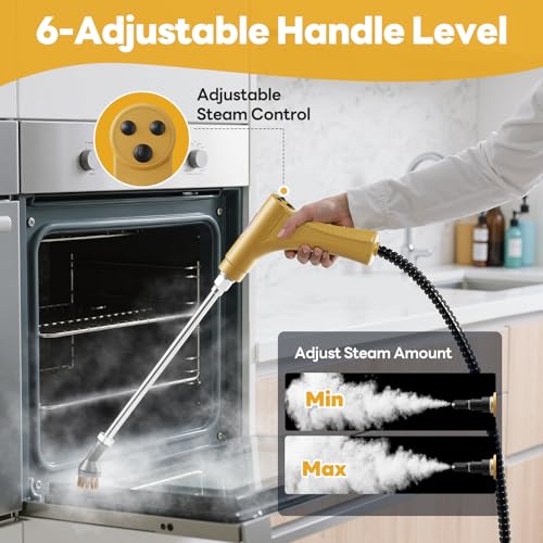 Handheld Steam Cleaner