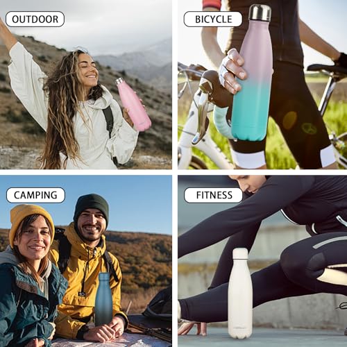 Insulated Water Bottle (2 Count)