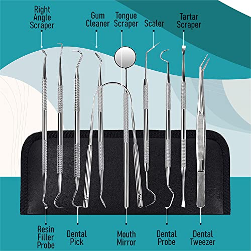 Dental Kit Tools (10 Count)