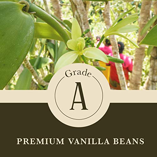 Pure Madagascar Vanilla Extract for Baking (8 Fl Oz)