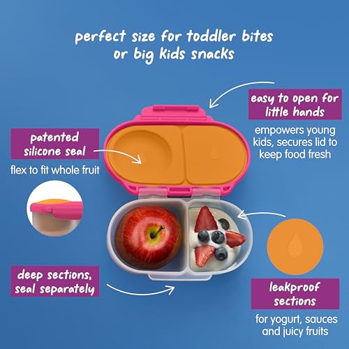 Snack Box 2 Pack (2 Count)