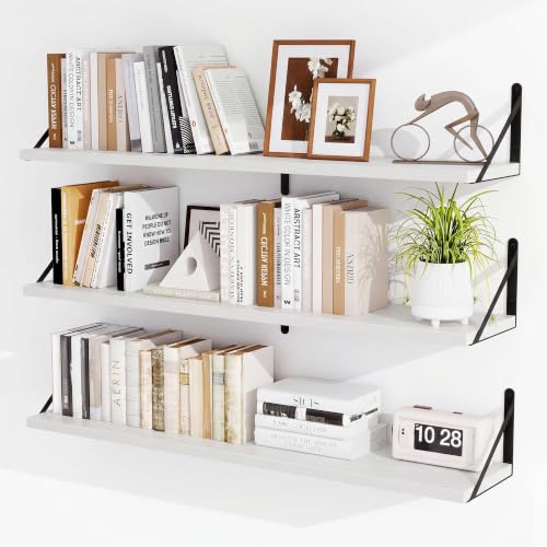 Floating Book Shelves for Wall